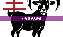 67年属羊人寿命(如何延长)