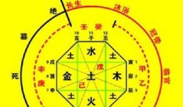 巳时五行属什么，十二时辰怎么对应五行