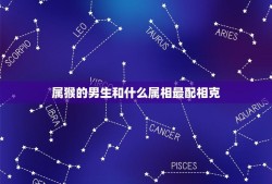 属猴的男生和什么属相最配相克(如何避免克制和冲突)
