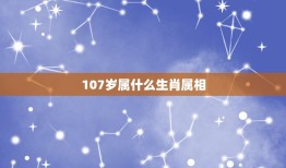 107岁属什么生肖属相(生肖年龄对应表)