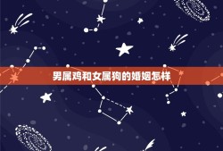 男属鸡和女属狗的婚姻怎样(十二生肖配对之鸡狗配对分析)
