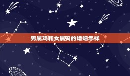 男属鸡和女属狗的婚姻怎样(十二生肖配对之鸡狗配对分析)