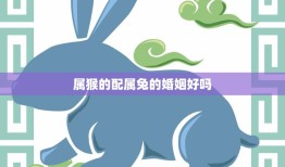 属猴的配属兔的婚姻好吗(星座配对解析)