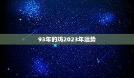 93年的鸡2023年运势(十二生肖2023年运势预测)
