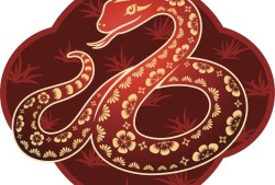 77年属蛇人今年的运势(蛇行天下财运亨通)
