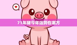71年猪今年运势在哪方(2023年猪年运势大揭秘)