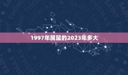 1997年属鼠的2023年多大(属鼠人的年龄计算方法介绍)