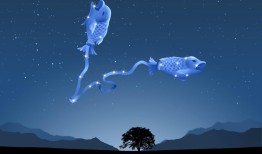 摩羯座上升星座查询 上升星座怎么算出来的