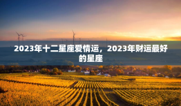2023年十二星座爱情运，2023年财运最好的星座