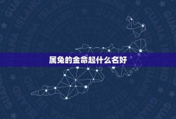 属兔的金命起什么名好(有关属兔人的命名方法)