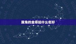 属兔的金命起什么名好(有关属兔人的命名方法)