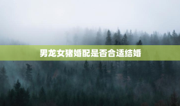男龙女猪婚配是否合适结婚，男龙女猪婚配是否合适结婚生子