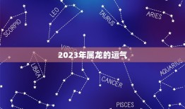 2023年属龙的运气(大好机会财运亨通)