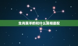 生肖属羊的和什么属相最配(十二生肖配对大介绍)