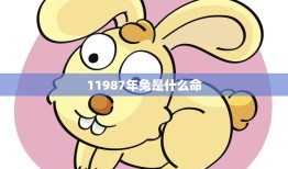 11987年兔是什么命(解析兔年出生的人性格特点及运势)