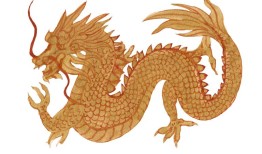 属龙今日运势非常运势网(揭秘你今天的好运)