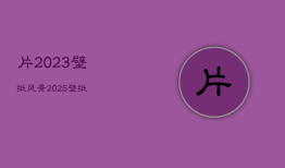 片2023壁纸风景，2025壁纸