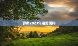 算命2023年运势属狗，2023年属狗运势及运程