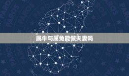 属牛与属兔能做夫妻吗(十二生肖配对大介绍)