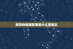 属狗的婚姻配偶是什么属相女(如何选择最合适的伴侣)