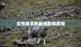 女性属羊的最佳配偶属相(揭秘哪些属相最适合)