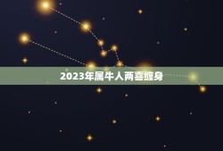 2023年属牛人两喜缠身(介绍属牛人2023年的事业与感情运势)