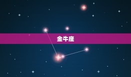 十二星座配对测试爱情表(介绍星座恋爱契合度)