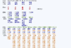 八字环型号选择，新手学钓鱼除了鱼竿还需要哪