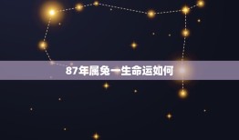 87年属兔一生命运如何(详解属兔人的命运特点)