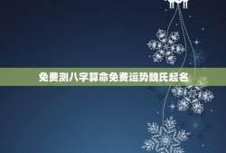 免费测八字算命免费运势魏氏起名(解读你的命运为你量身定制幸运名字)