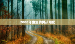 2000年出生的男孩婚配，1999年兔女和2000年龙男姻缘