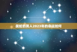 属蛇的男人2023年的命运如何(预测财运亨通事业上升但需注意健康问题)