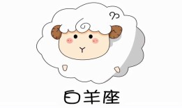 白羊座的上升星座摩羯座的女生，怎么算上升星座查询表