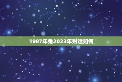 1987年兔2023年财运如何(兔年运势大介绍)