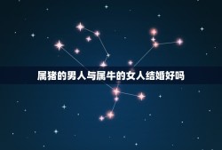 属猪的男人与属牛的女人结婚好吗(星座配对介绍)
