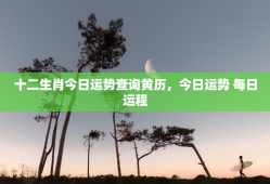 十二生肖今日运势查询黄历，今日运势 每日运程
