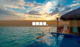 律师免费
在线解答，

免费
