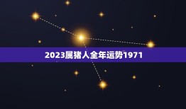 2023属猪人全年运势1971(猪年大吉财运亨通)