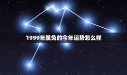 1999年属兔的今年运势怎么样(2023年属兔人的运势介绍)