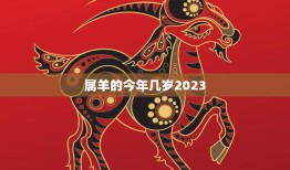 属羊的今年几岁2023(如何迎接属羊人的本命年)