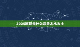 2025属蛇是什么命金木水火土(五行缘由介绍)
