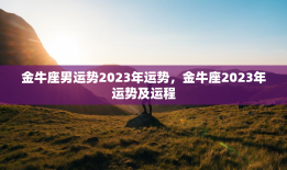 金牛座男运势2023年运势，金牛座2023年运势及运程