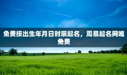 免费按出生年月日时辰起名，周易起名网唯一
免费