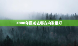 2000年属龙去哪方向发展好，2000年属龙的吉利方向是哪?