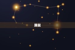 属虎最忌讳的三个生肖(如影随形害怕相遇)