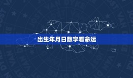 出生年月日数字看命运(介绍数字背后的命运密码)