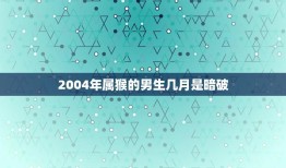 2004年属猴的男生几月是暗破(猴年出生的男孩暗破出现在哪个月)