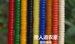 已巳五行属什么，时辰问题