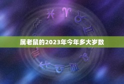 属老鼠的2023年今年多大岁数(解密老鼠年生肖的年龄计算方法)