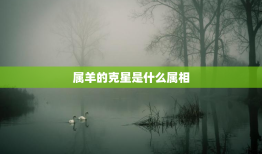 属羊的克星是什么属相，属羊最忌讳的属相